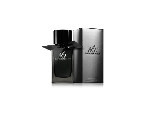 BURBERRY Mr. Burberry Eau de Parfum Туалетные духи 150 мл 