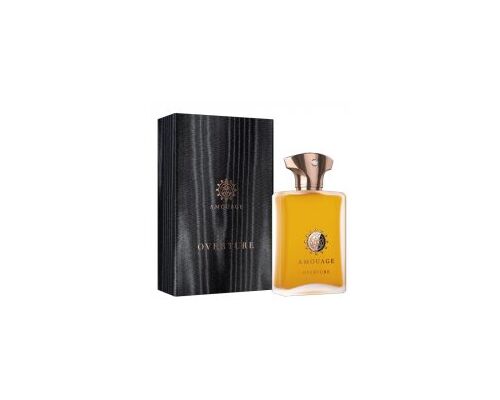 AMOUAGE Overture Man Туалетные духи 100 мл, Тип: Туалетные духи, Объем, мл.: 100 