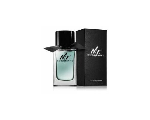 BURBERRY Mr. Burberry Eau de Toilette Туалетная вода 100 мл, Тип: Туалетная вода, Объем, мл.: 100 