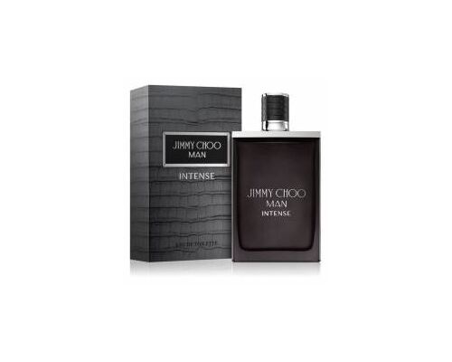 JIMMY CHOO Man Intense Туалетная вода 100 мл, Тип: Туалетная вода, Объем, мл.: 100 