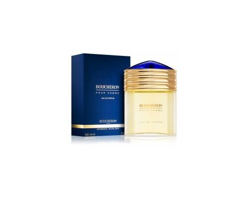 BOUCHERON Pour Homme Туалетная вода 100 мл, Тип: Туалетная вода, Объем, мл.: 100 